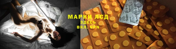 стафф Алзамай