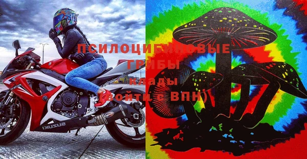 стафф Алзамай