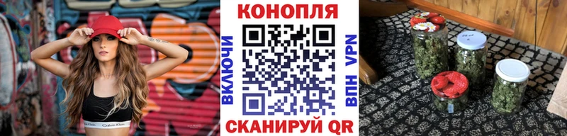 цены Камышин blacksprut сайт Канабис планчик